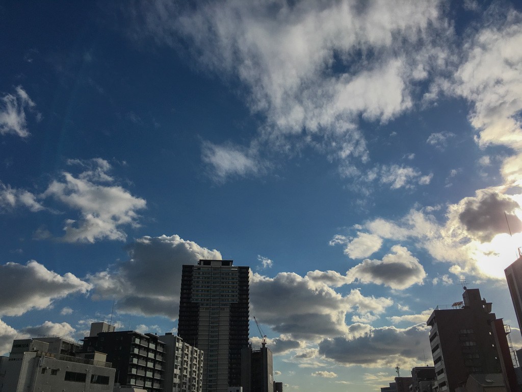 大阪西区木津川伯楽橋からの眺め